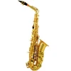Alto saxophone/Saxophone/Wind instrument/Colored saxophone
