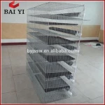 Animal & Poultry Husbandry Equipment Layer Battery Quail Cage for Egg Quails