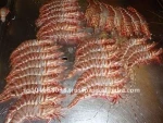 AUSTRALIAN WILD CAUGHT TIGER SHRIMP HOSO
