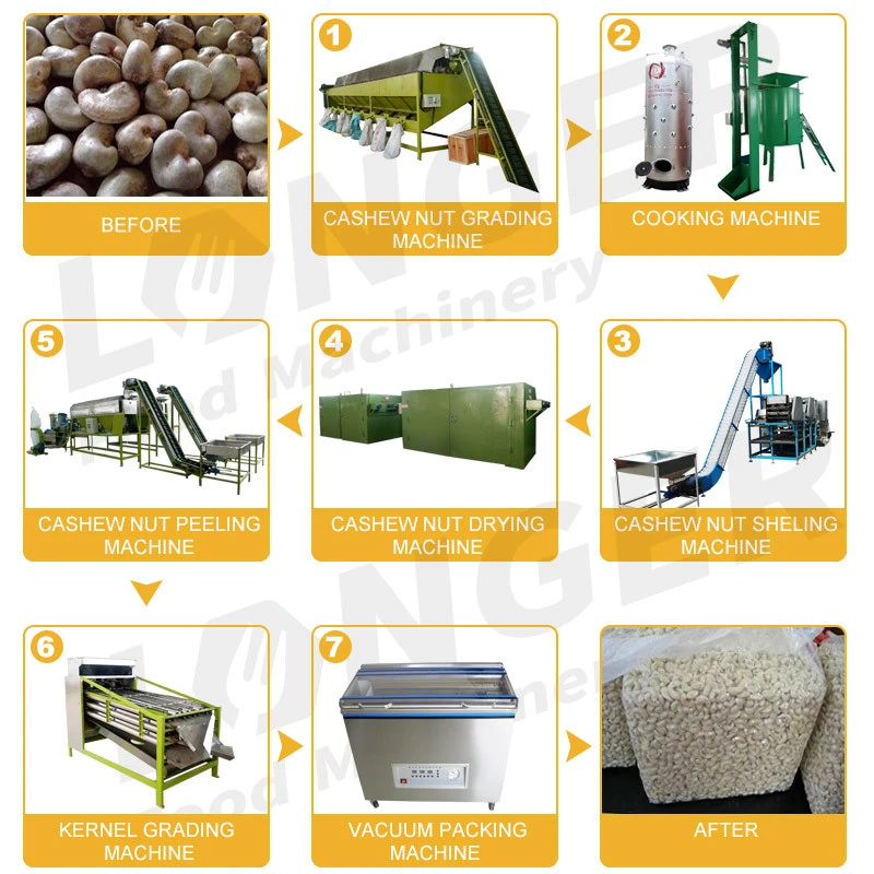 Automatic Cashew Nut Steam Cooking Steaming Cashew Nut Boiler Machine Price