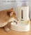 Import Automatic Cat Dog Water Dispenser Pet Auto Feeders Food Bowl from China