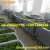 Import Automatic Fresh Chives, Spinach Continuous Cleaning, Cabbage, Celery Washing Machine from China