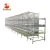 Import Automatic H type broiler chicken cage for Pakistan farms from China