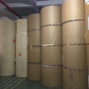 bagasse pulp pulppolyethylene coated paper for paper cup