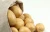 Import Bangladeshi Fresh Potato from Bangladesh