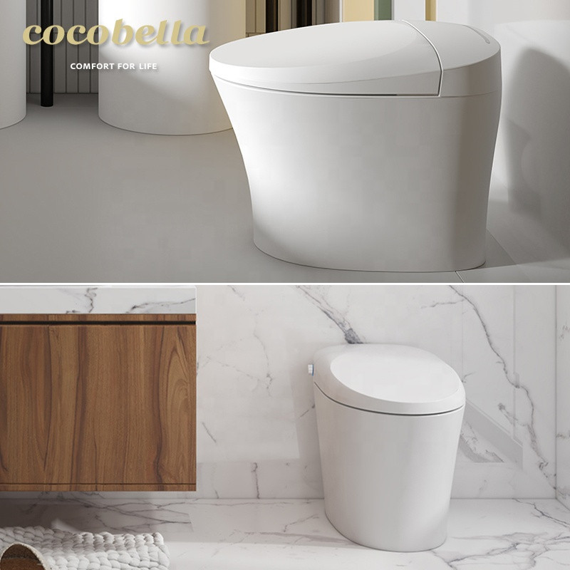 Buy Bathroom Auto Wc Automatic Washing And Drying Sanitary Flush Sensor ...