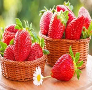 Best Price Fresh Strawberry Bulk Egyptian Sweet Strawberry 100% Natural Fruits New Crop Wholesale Top Quality