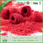 Best quality Cheapest cranberry freeze dried fruit