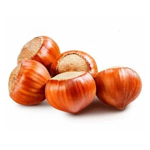 Best Quality Hazelnuts, Blanched Hazelnuts, Hazelnuts Inshell &amp; Kernels