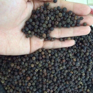 Black Pepper 570 g/l (FAQ & Machine Cleaned) _Very Competitive Price (viber/whatsapp: +84908970999)