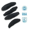 Black Pin Sea Cucumber (Dried and Frozen)