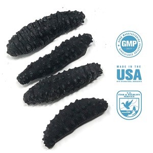 Black Pin Sea Cucumber (Dried and Frozen)
