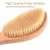 Import Body Scrub Dry Brush Back Brush, Back Body Brush with Handle, Soft Bristles for Exfoliating Dry Skin, Cellulite from China