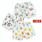 Buy Young Boy Children S Thongs Underwear Boxer Models from Shishi Shanrui  Import And Export Co., Ltd., China