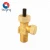 Import Brass chlorine gas valve from China