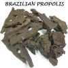 Brazilian green / brown propolis