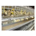 Cage Feeder Chicken Layers Cage 96 Chickens Chicken Breeding Cage