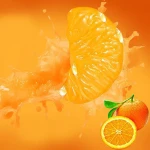 Canned Mandarin Orange in Little Syrup the Seaonal Canned Fruit