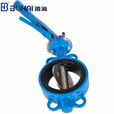 Cast Iron Soft Sealing Butterfly Valve Wafer Manual