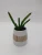 Import Ceramic sandy soil flower vase,flower pot for home decor from China