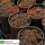 Import Certified Coconut Coir Peat at High Quality from India