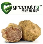 Chaga Mushroom Extract;Chaga Mushroom Extract price;chaga mushroom extract powder