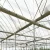 Import Cheap and Easy Intall Plastic Film Greenhouse Poly Film Greenhouse from China