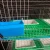 Import Cheap sturdy Malaysian rabbit cage rabbit breeding cage from China
