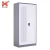 Import China Factory Price Metal Clothes Cabinet 2 Door Wardrobe With Mirror Steel Cupboard Designs Bedrooms from China