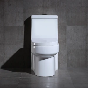 China Factory Supply Sanitry Ware Modern Ceramics Toilette Bowl Water Closet Floor Mounted Bathroom Toilet
