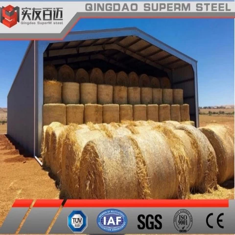 China Industrial   Steel Structures Sheds Farm storage/shed Building
