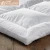 Import China Manufactory Two Layers 10% Goose Down Feather Mattress Topper,Wholesale Massage Mattress,Goose Down Filled Mattress from China