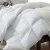 Import China Manufacturer Goose Down Hotel Duvet/Quilt For King Size Bed from China