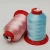 China Manufactures 250d/3 Customise Nylon Filament Colorful Sewing Thread