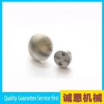 China OEMmirror nail for advertising plate Stainless Steel Mirror Nail stainless steel advertising nail