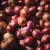 Import Chinese exporters fresh market prices red onion for  importers and buyers wholesale from China