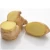 Import Chinese high quality fresh ginger supplier from China
