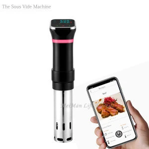 Chinese supplier other kitchen appliance high quality small capacity immersion 100V slow cooker sous vide machine with wifi