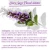 Import Clary Sage Hydrosol 100% Pure And Natural from India
