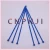 Import CNPNJI Heavy Duty Purplish Color Self Locking Nylon 66 Cable Tie Manufacturer from China