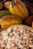 Cocoa Gourmet Cocoa Beans From Baria Vietnam - CacaoTrace Program