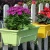 Import Colorful Flower Plant Grow Pot Vegetable Herbs Square Container Seedlings Nursery Pots with Pallet from China