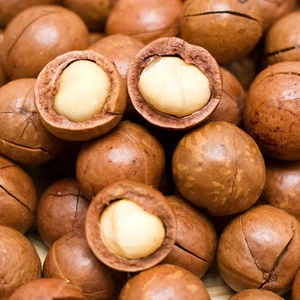 Competitive RawOrganic Bulk Nuts Macadamia nuts wholesale &amp; High Quality Grade macadamia nuts for sale