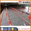 complete controlled poultry shed farm for chicken house