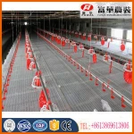 complete controlled poultry shed farm for chicken house