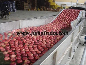 Complete plan peach tomato sauce making machine with low price