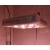 Import Crees  CXA1512 Full Spectrum COB Grow Light 300w LED Grow Light with Advanced Technology from China