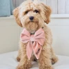 Custom Fashion Cotton Triangle Bandana Bowknot Dog Collar Chest Back Set Collar Pet Sling Vest Set