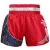 Import Custom High Quality Muay Thai shorts mma kick boxing short pants in material arts wear from China