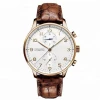 Custom Private Label watch genuine leather watch strap Men Luxury Mechanical Watch